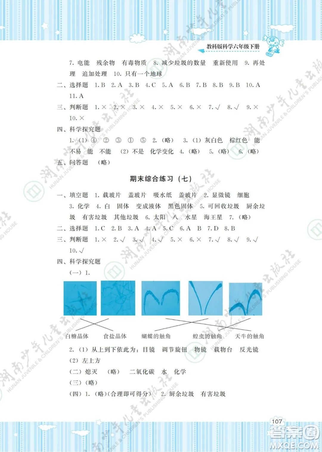 湖南少年兒童出版社2022課程基礎(chǔ)訓(xùn)練六年級(jí)科學(xué)下冊(cè)教科版答案