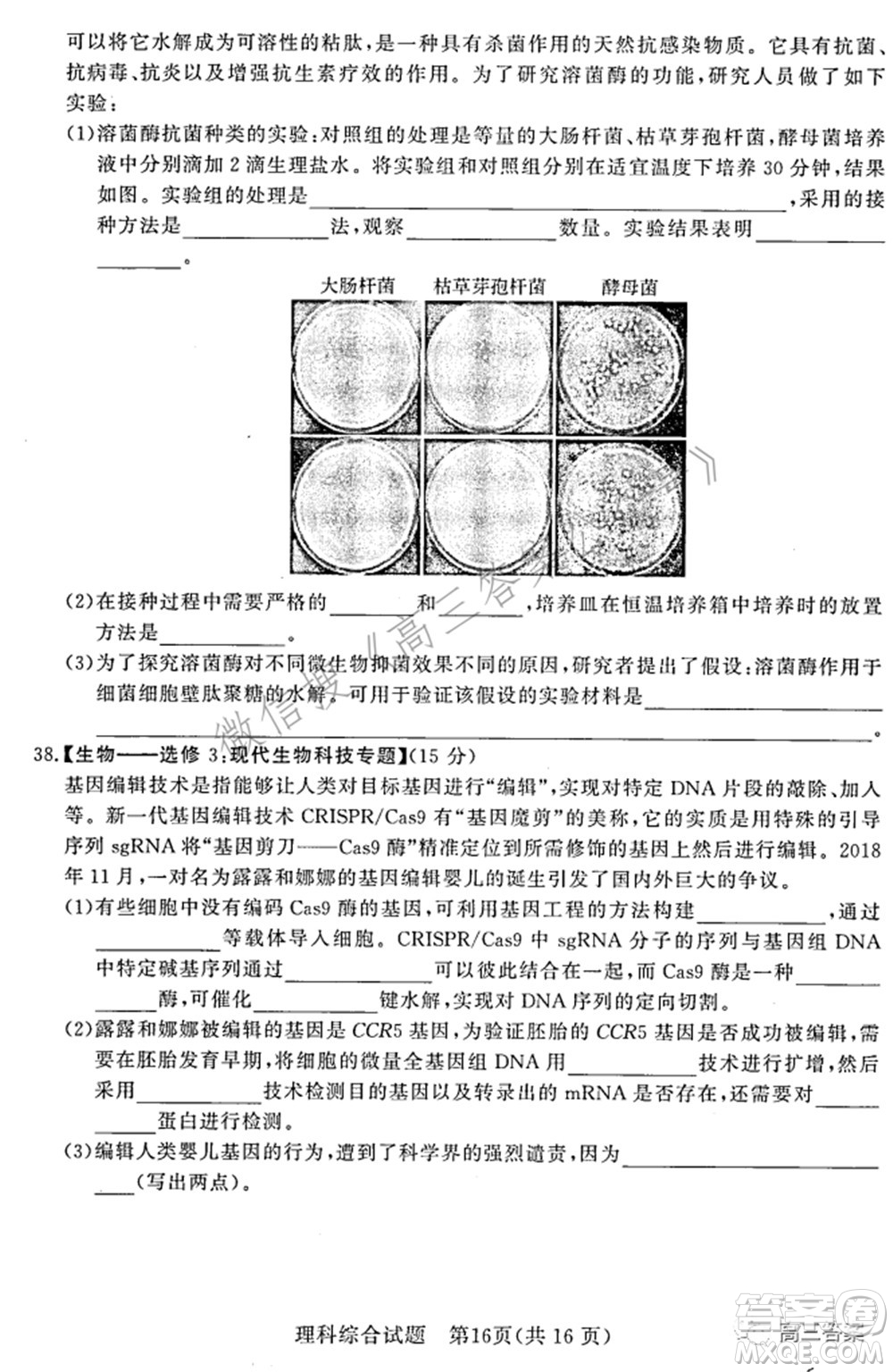 湘豫名校聯(lián)考2022年3月高三理科綜合試題及答案