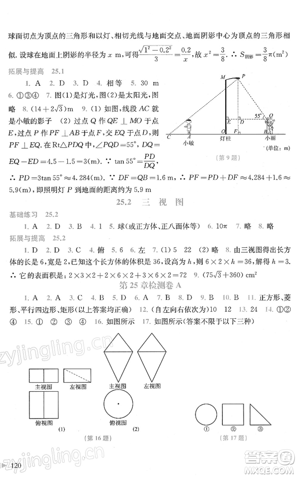 上?？茖W(xué)技術(shù)出版社2022初中數(shù)學(xué)同步練習(xí)九年級(jí)下冊(cè)滬科版答案