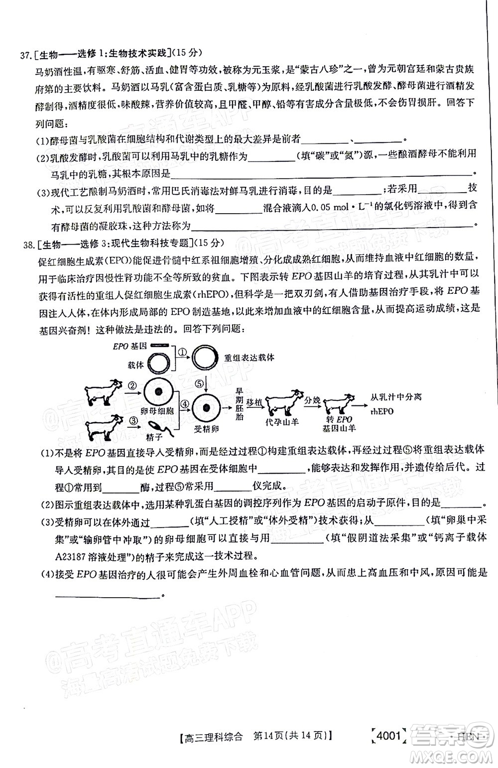 2022屆金太陽百萬聯(lián)考3月全國卷高三理科綜合試題及答案