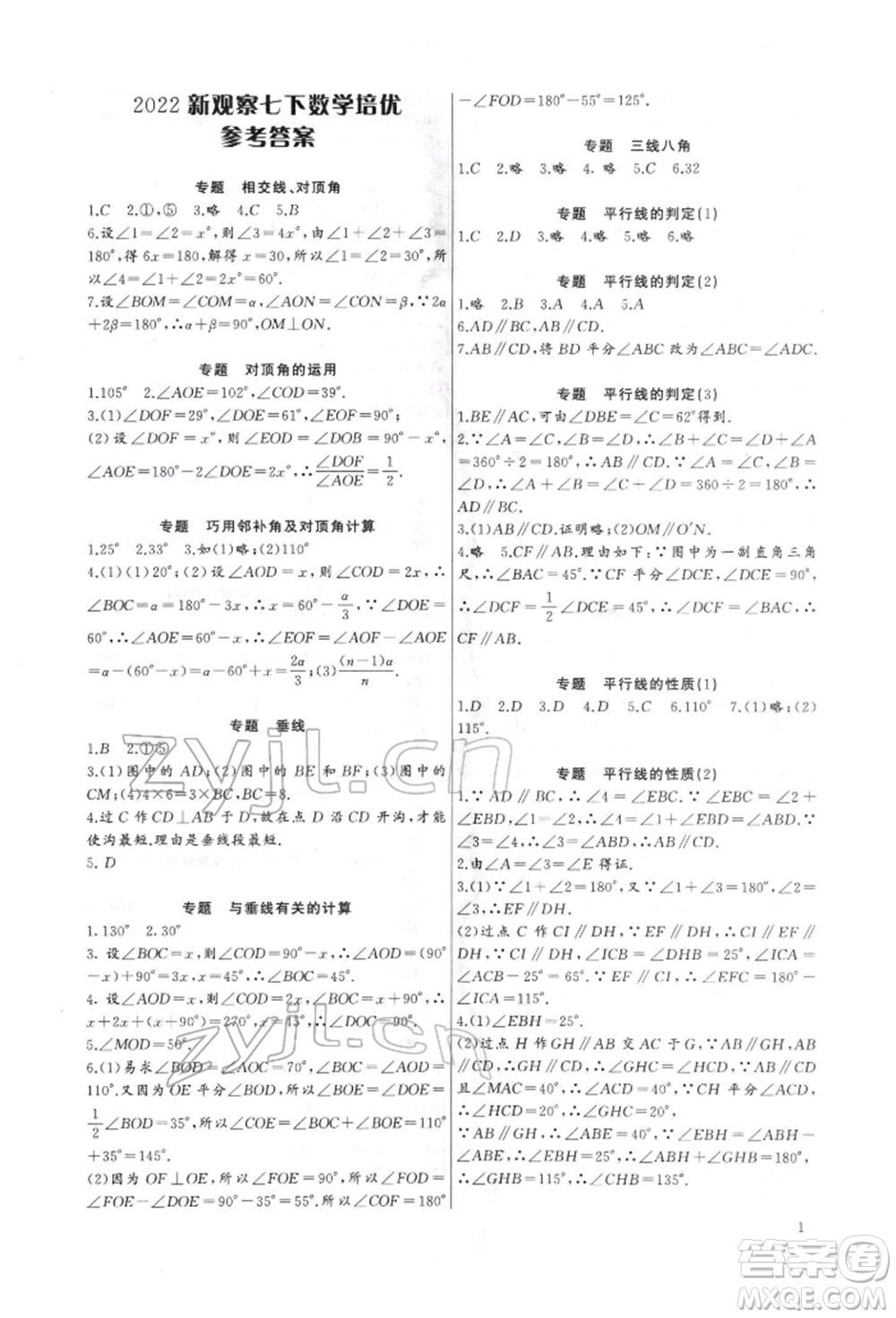 長江少年兒童出版社2022思維新觀察培優(yōu)講練七年級(jí)下冊(cè)數(shù)學(xué)人教版參考答案