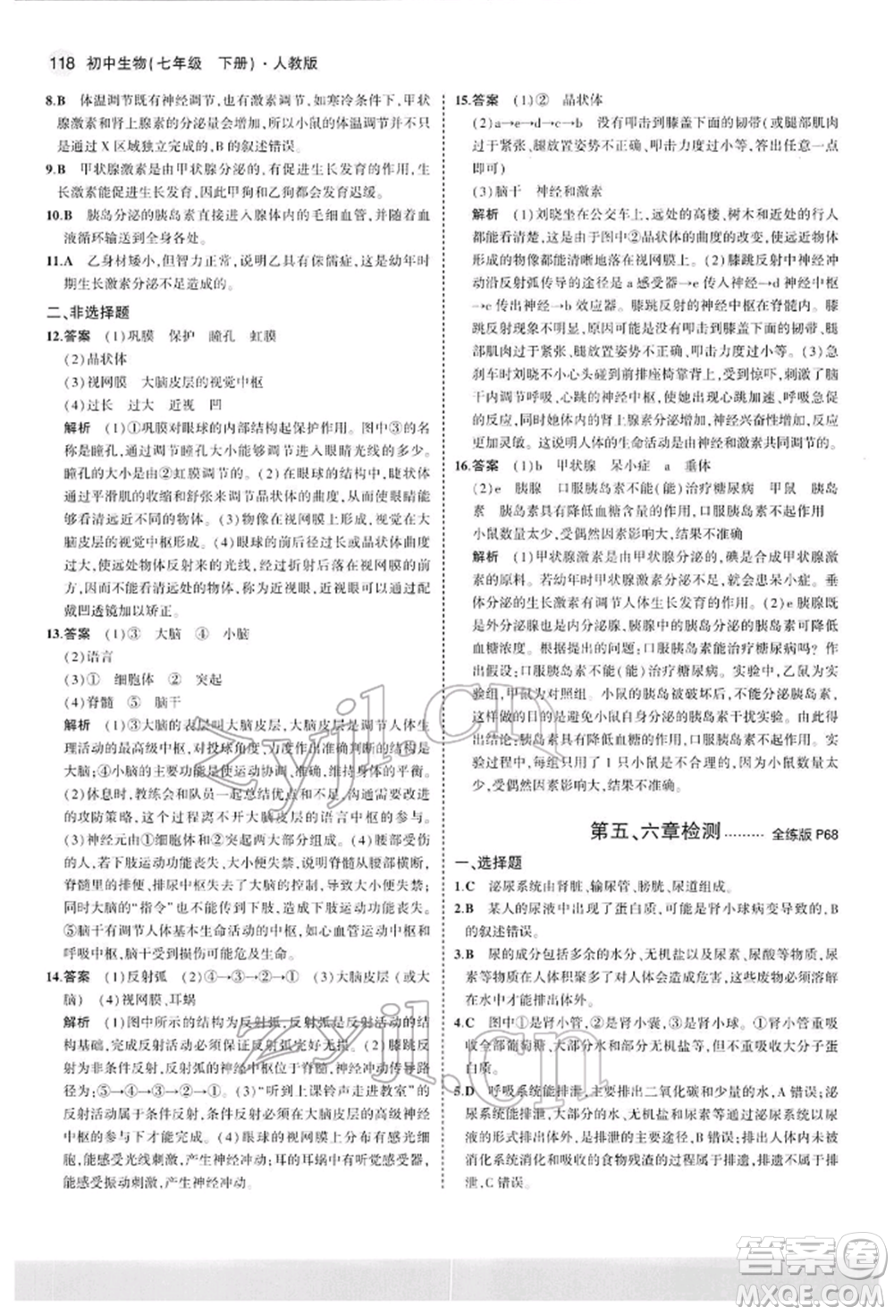 首都師范大學出版社2022年5年中考3年模擬七年級生物下冊人教版參考答案