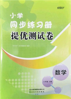 山東友誼出版社2022小學(xué)同步練習(xí)冊(cè)提優(yōu)測(cè)試卷六年級(jí)數(shù)學(xué)下冊(cè)人教版答案