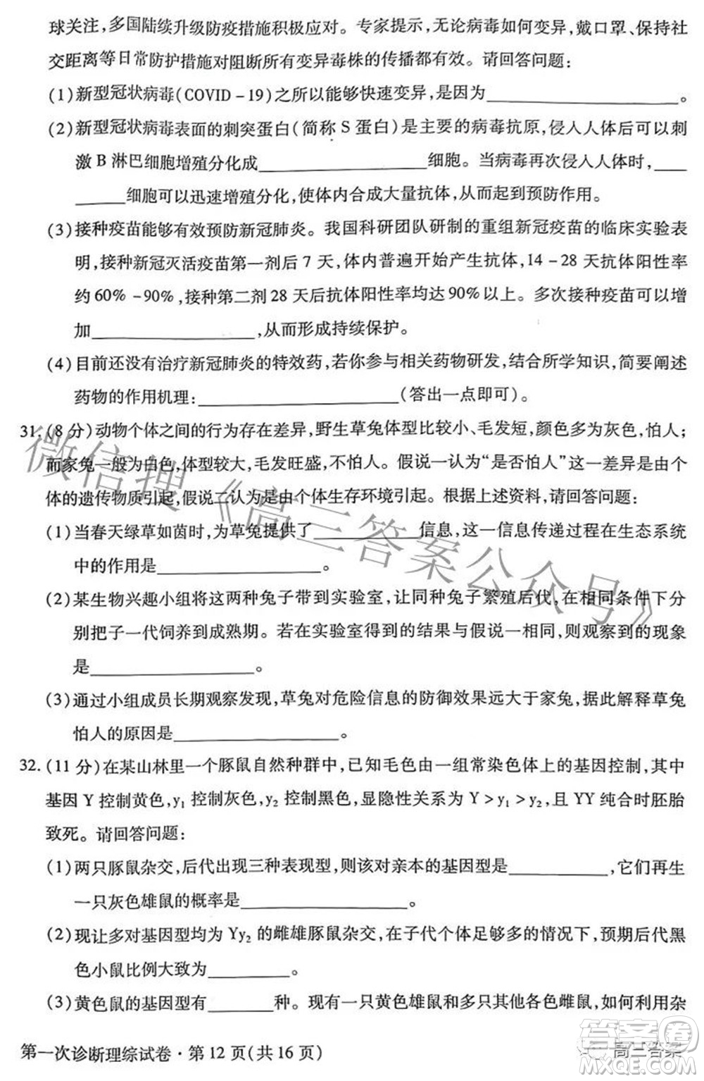 2022年甘肅省第一次高考診斷考試?yán)砜凭C合試題及答案