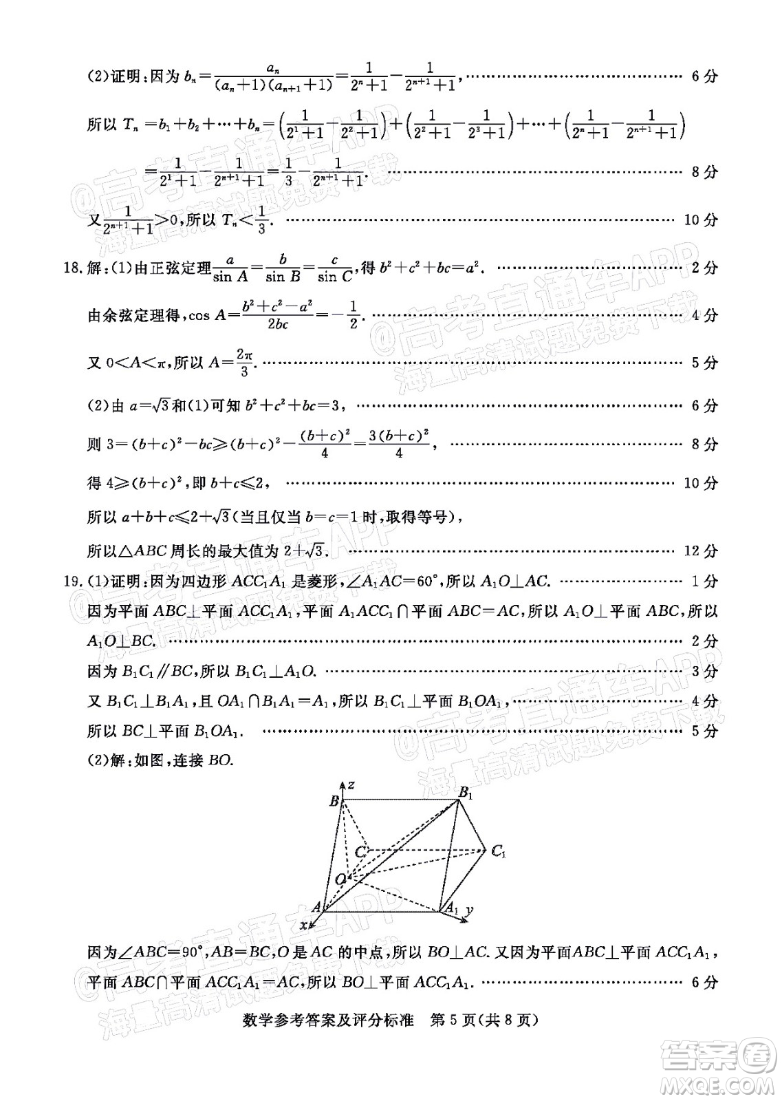 湛江市2022年普通高考測(cè)試一數(shù)學(xué)試題及答案