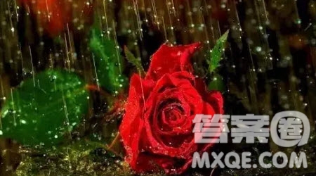 雨中的____為題作文400字 以雨中的____為題的作文400字