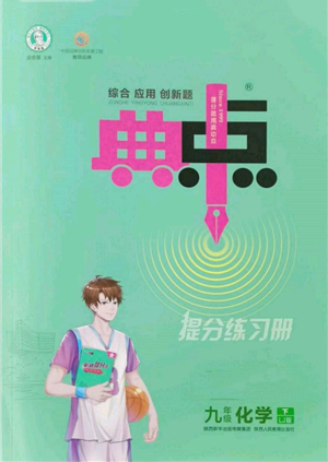 陜西人民教育出版社2022典中點(diǎn)綜合應(yīng)用創(chuàng)新題九年級化學(xué)下冊人教版參考答案