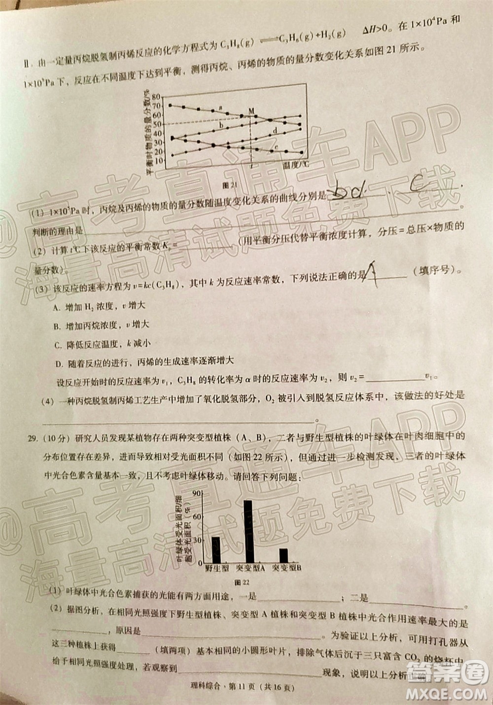 2022屆3+3+3高考備考診斷性聯(lián)考卷二理科綜合試題及答案