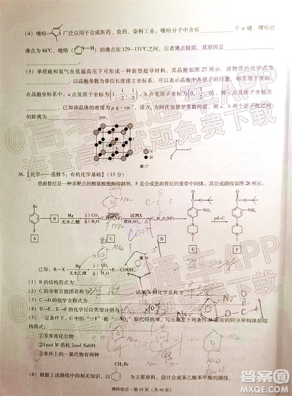 2022屆3+3+3高考備考診斷性聯(lián)考卷二理科綜合試題及答案