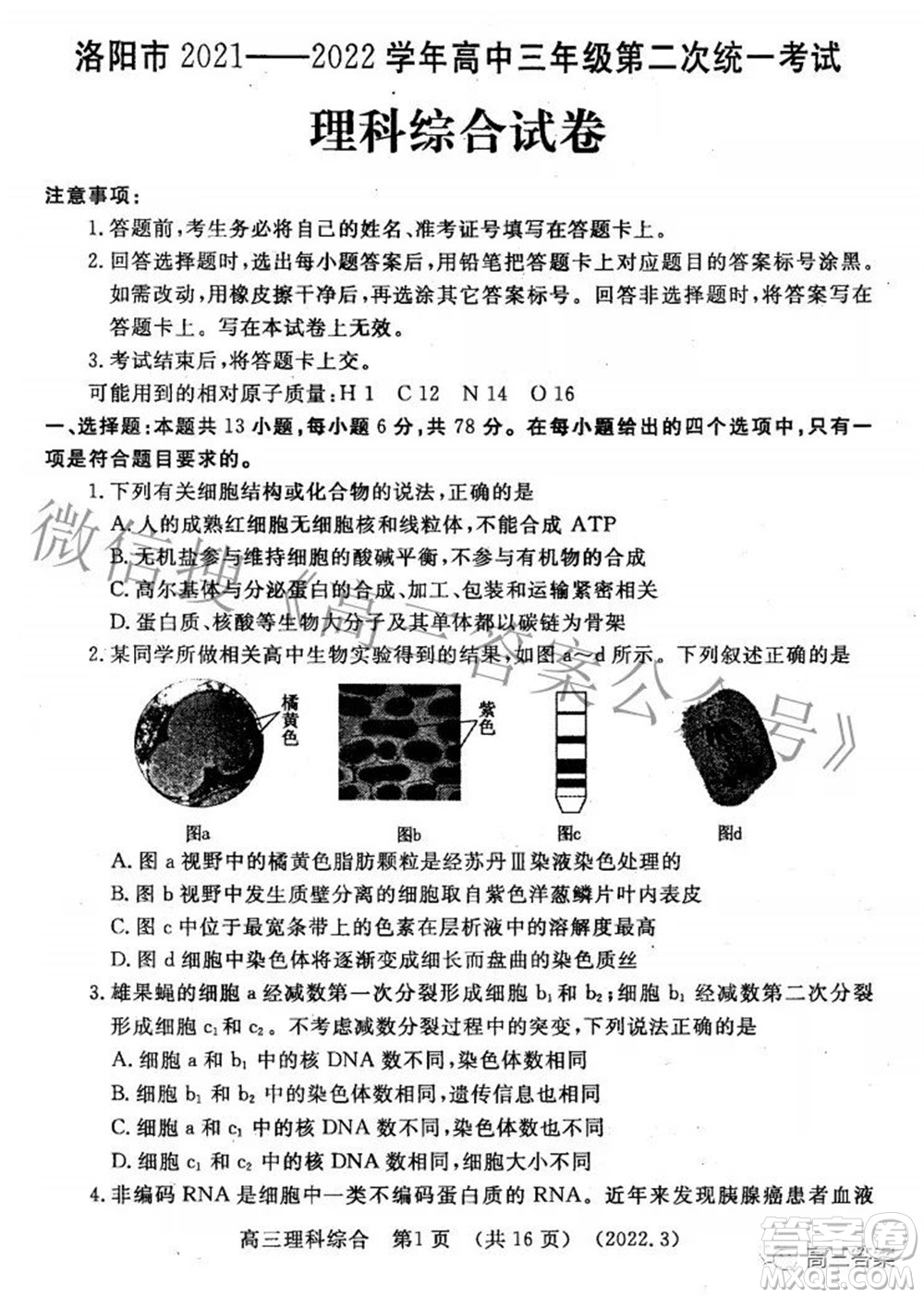 洛陽市2021-2022學(xué)年高中三年級第二次統(tǒng)一考試?yán)砜凭C合試題及答案