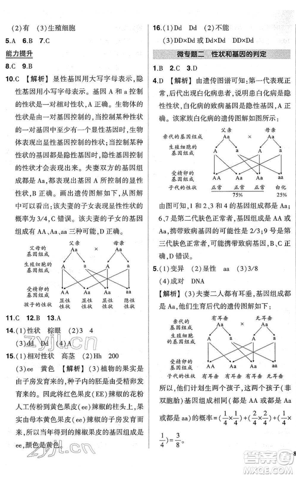 武漢出版社2022狀元成才路創(chuàng)優(yōu)作業(yè)八年級(jí)生物下冊(cè)R人教版答案