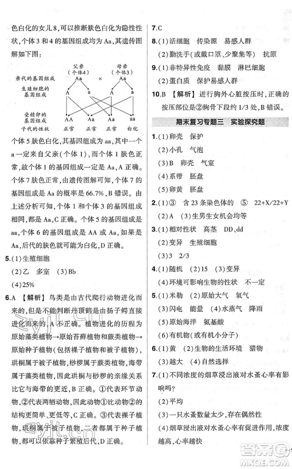 武漢出版社2022狀元成才路創(chuàng)優(yōu)作業(yè)八年級(jí)生物下冊(cè)R人教版答案