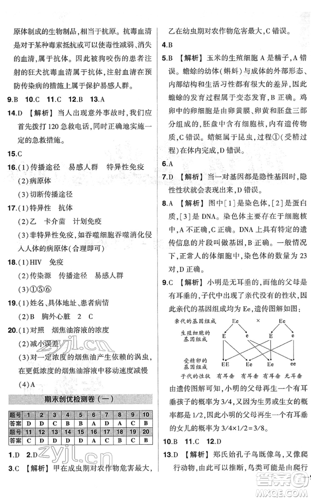 武漢出版社2022狀元成才路創(chuàng)優(yōu)作業(yè)八年級(jí)生物下冊(cè)R人教版答案