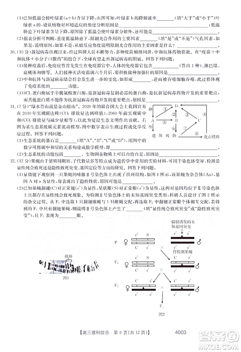 2022金太陽(yáng)4003聯(lián)考高三理科綜合試題及答案