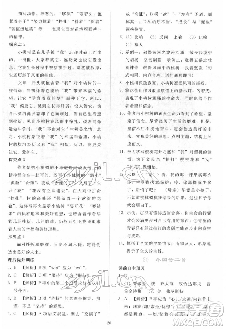 人民教育出版社2022同步輕松練習(xí)語文七年級(jí)下冊(cè)人教版答案