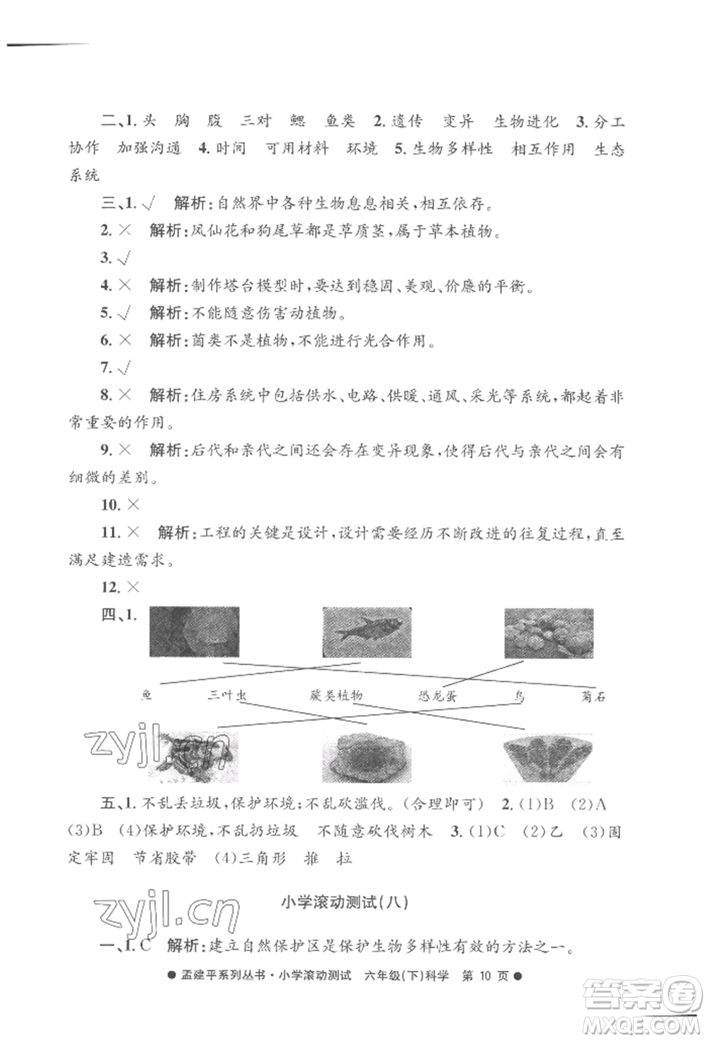 浙江工商大學(xué)出版社2022孟建平系列小學(xué)滾動(dòng)測(cè)試六年級(jí)下冊(cè)科學(xué)教科版參考答案