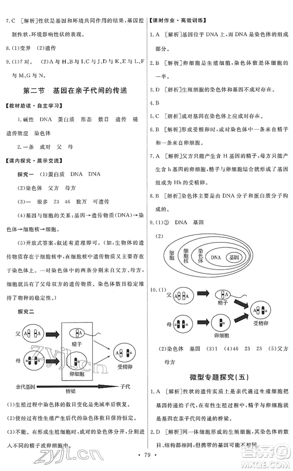 人民教育出版社2022能力培養(yǎng)與測試八年級生物下冊人教版答案