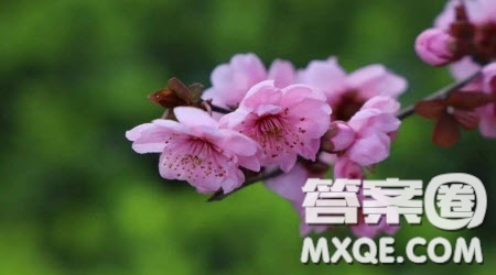 學(xué)寫兒童詩四年級(jí)范文2篇 關(guān)于學(xué)寫兒童詩的四年級(jí)范文2篇