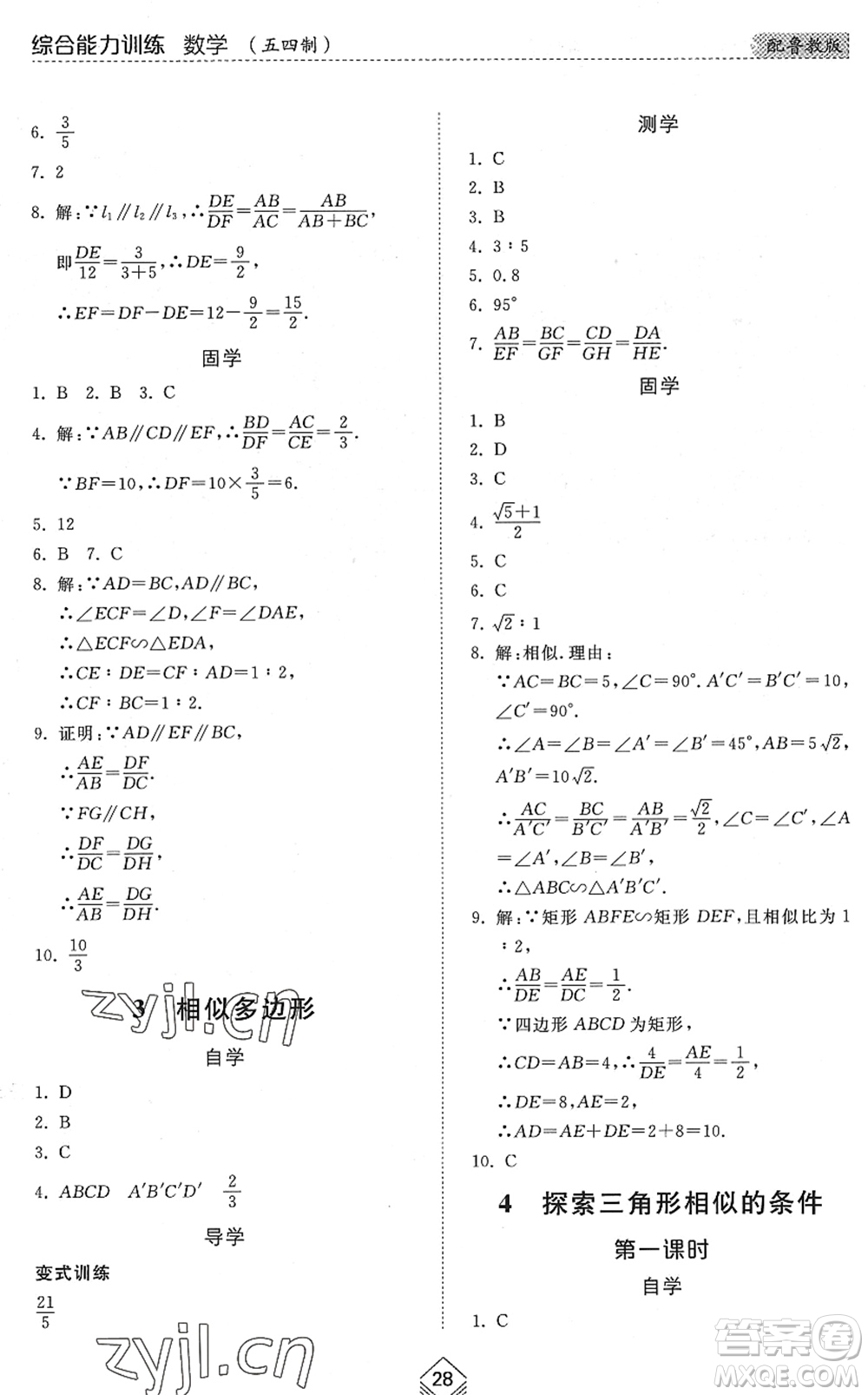 山東人民出版社2022綜合能力訓(xùn)練八年級(jí)數(shù)學(xué)下冊(cè)魯教版五四學(xué)制答案