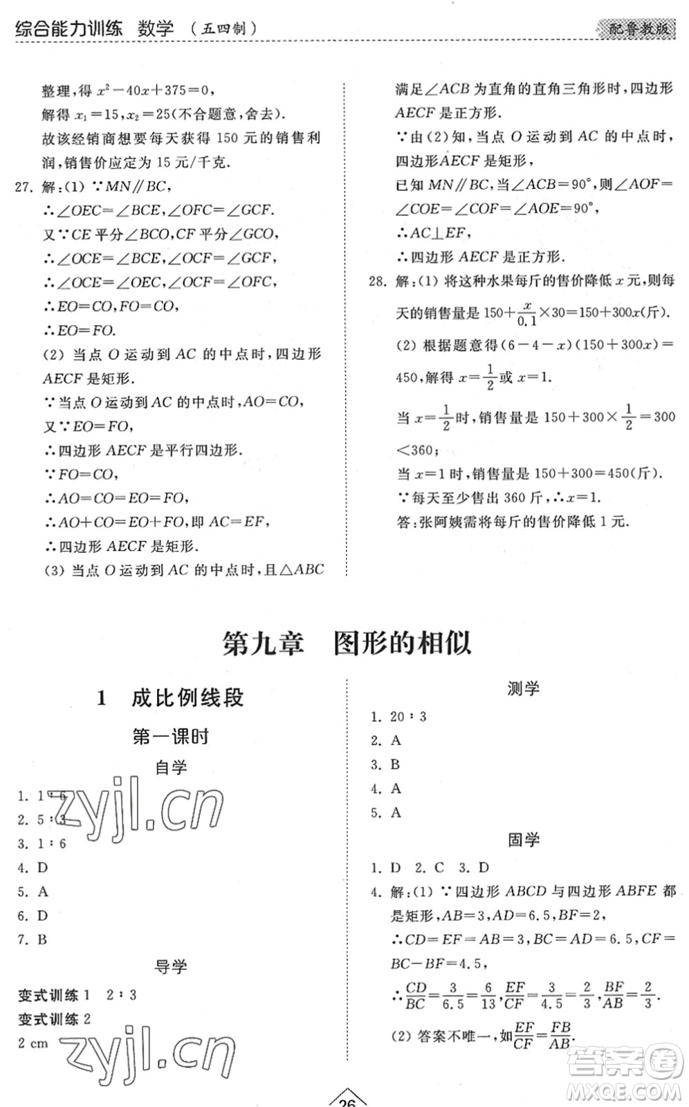 山東人民出版社2022綜合能力訓(xùn)練八年級(jí)數(shù)學(xué)下冊(cè)魯教版五四學(xué)制答案