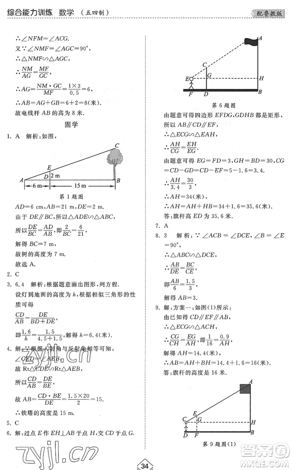 山東人民出版社2022綜合能力訓(xùn)練八年級(jí)數(shù)學(xué)下冊(cè)魯教版五四學(xué)制答案