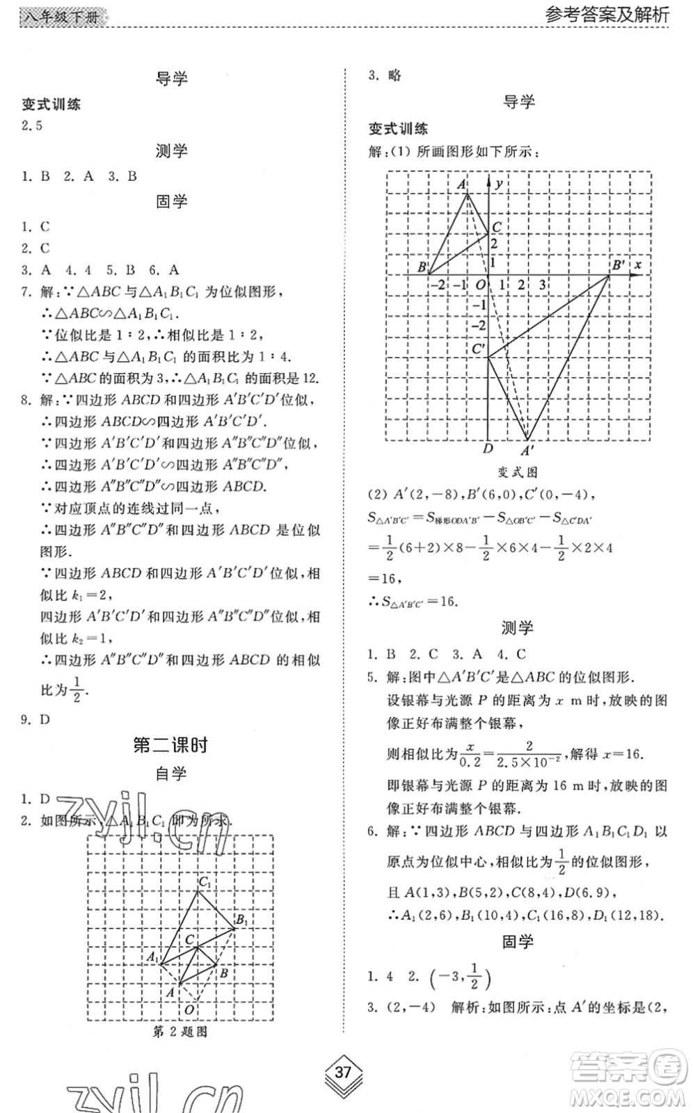 山東人民出版社2022綜合能力訓(xùn)練八年級(jí)數(shù)學(xué)下冊(cè)魯教版五四學(xué)制答案