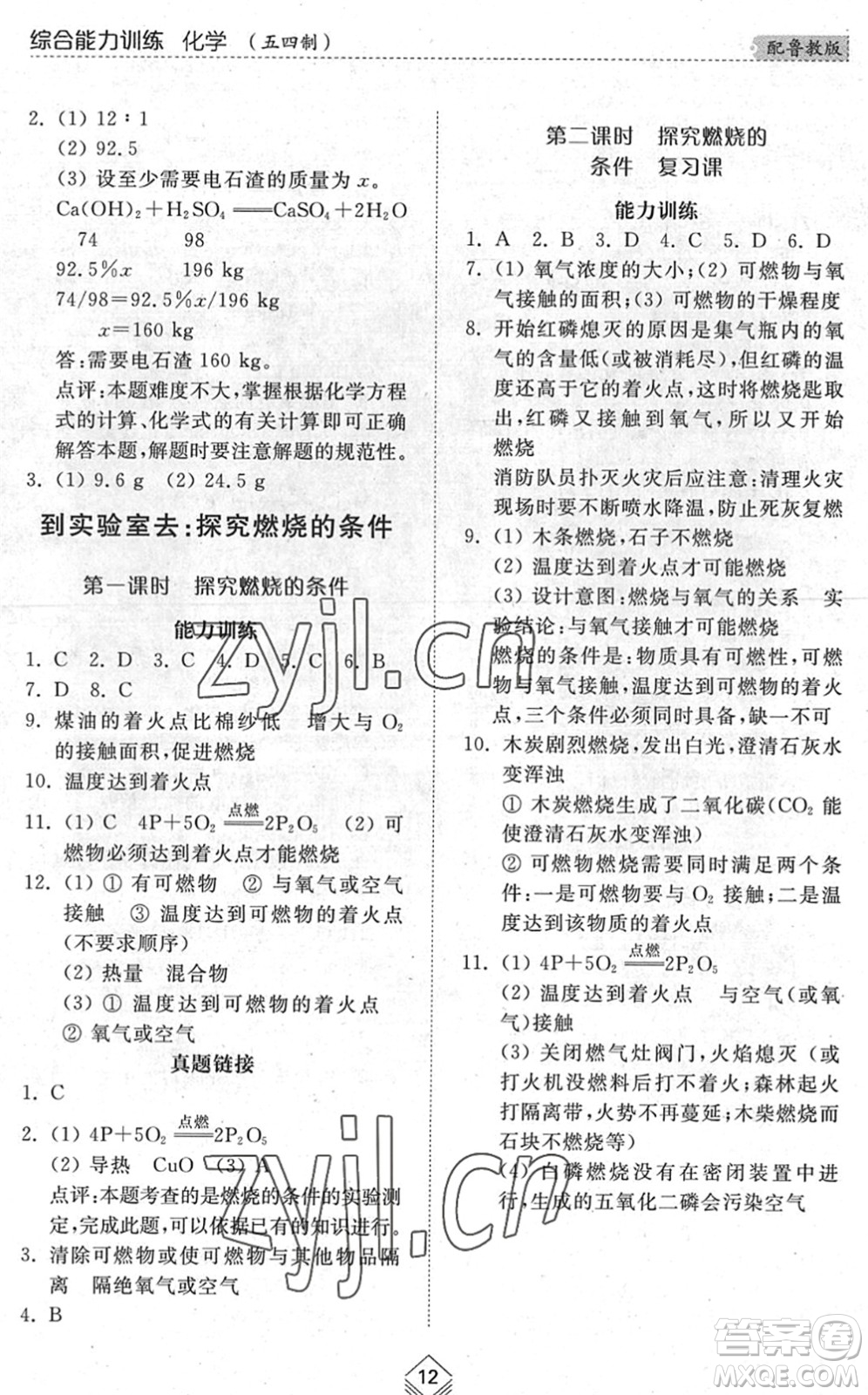 山東人民出版社2022綜合能力訓(xùn)練八年級化學(xué)下冊魯教版五四學(xué)制答案