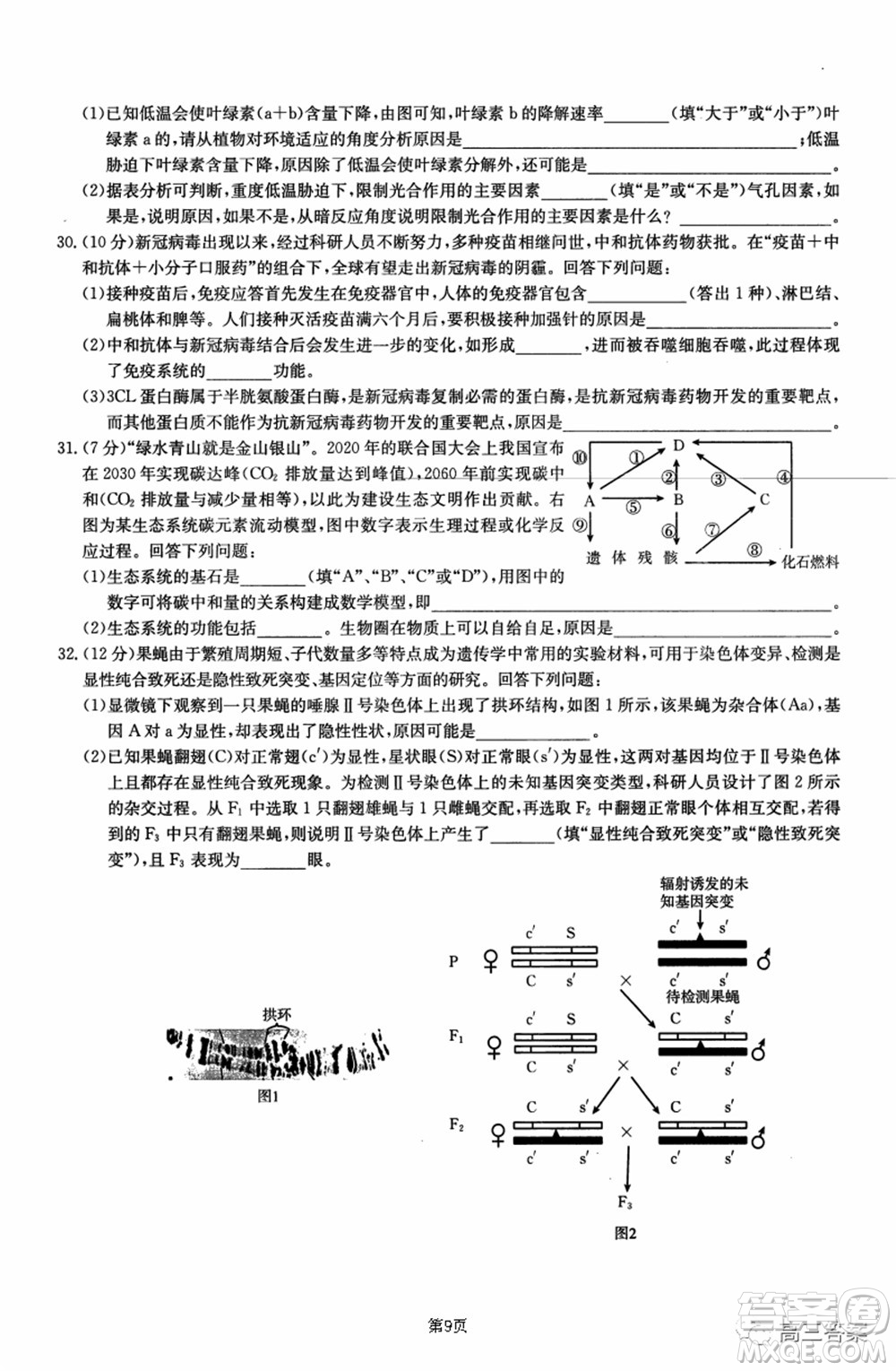 2021-2022年昌吉學聯(lián)體第三次高三年級高考適應性考試理科綜合試題及答案