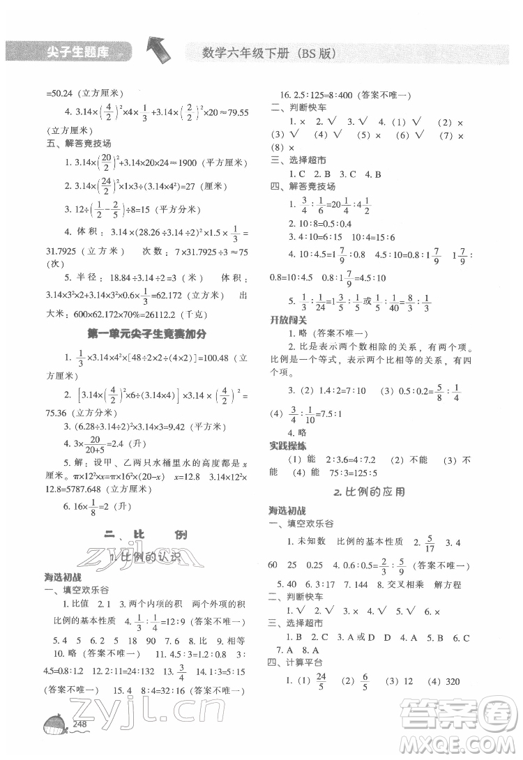 遼寧教育出版社2022尖子生題庫數(shù)學(xué)六年級下冊BS北師版答案