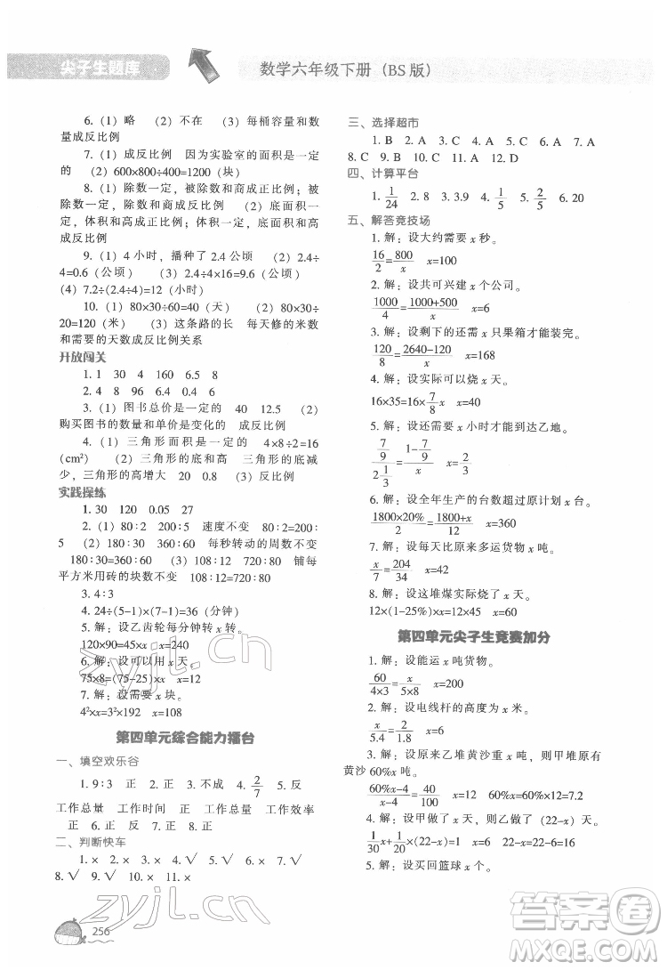 遼寧教育出版社2022尖子生題庫數(shù)學(xué)六年級下冊BS北師版答案