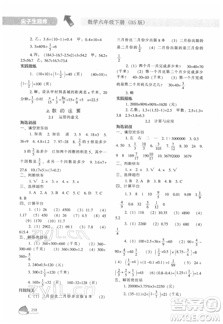 遼寧教育出版社2022尖子生題庫數(shù)學(xué)六年級下冊BS北師版答案