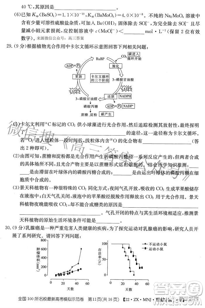 2022全國100所名校最新高考模擬示范卷四理科綜合試題及答案