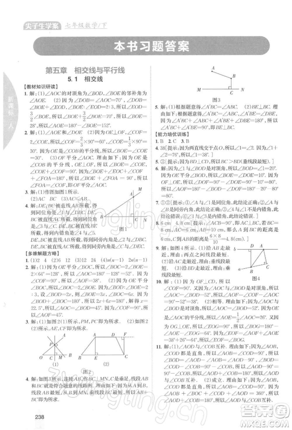 吉林人民出版社2022尖子生學案七年級下冊數(shù)學人教版參考答案