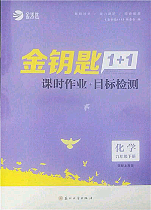 蘇州大學出版社2022金鑰匙1+1課時作業(yè)目標檢測九年級下冊化學上海版參考答案