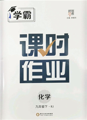 寧夏人民教育出版社2022學(xué)霸課時作業(yè)九年級化學(xué)下冊RJ人教版答案