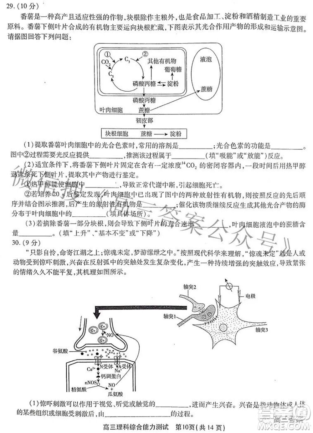 安徽省鼎尖聯(lián)盟2022屆4月聯(lián)考高三理科綜合試題及答案