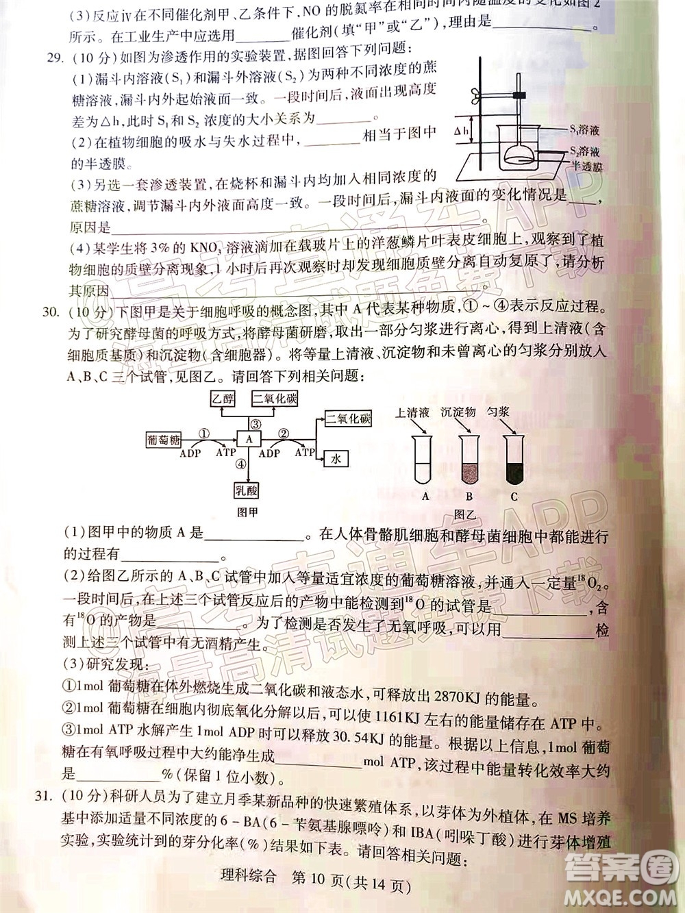 2022年寶雞市高考模擬檢測三理科綜合試題及答案