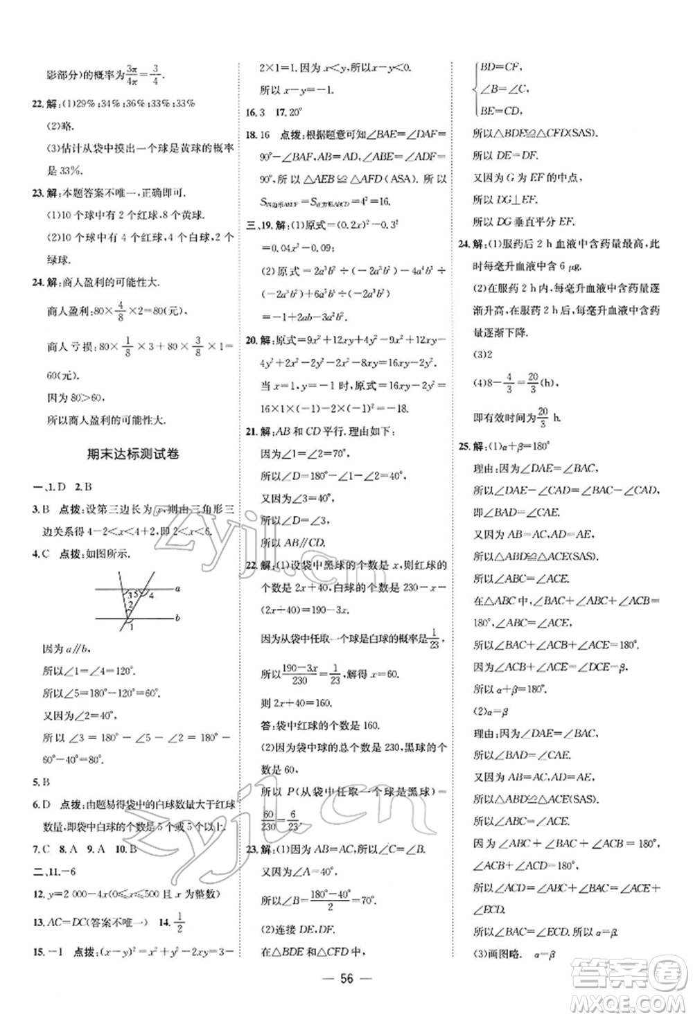 安徽教育出版社2022點(diǎn)撥訓(xùn)練課時作業(yè)本七年級下冊數(shù)學(xué)北師大版參考答案