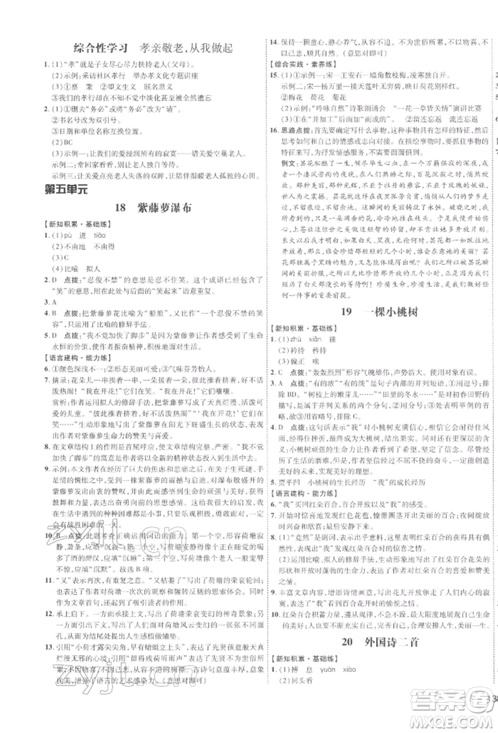 安徽教育出版社2022點(diǎn)撥訓(xùn)練課時(shí)作業(yè)本七年級(jí)下冊(cè)語(yǔ)文人教版安徽專版參考答案