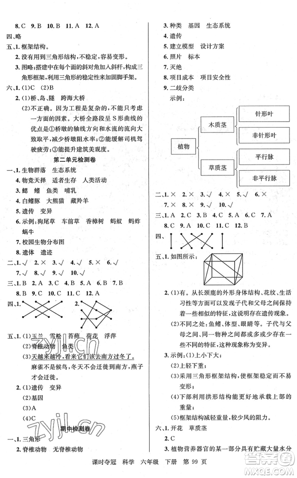 新疆科學技術(shù)出版社2022課時奪冠六年級科學下冊JK教科版答案