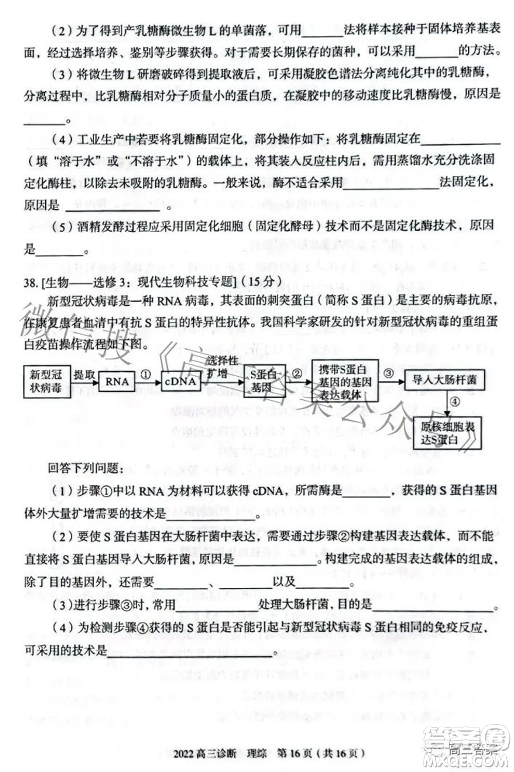 2022年4月蘭州市高三診斷考試?yán)砜凭C合試題及答案