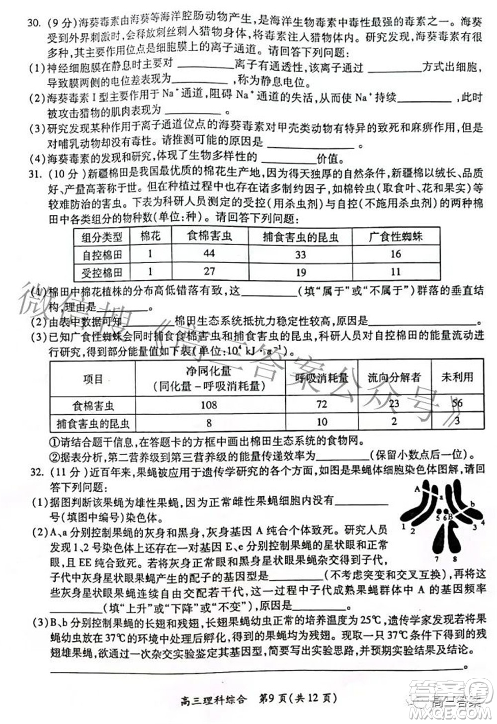 廣西四市2022屆高中畢業(yè)班4月教學(xué)質(zhì)量檢測(cè)試題理科綜合試題及答案