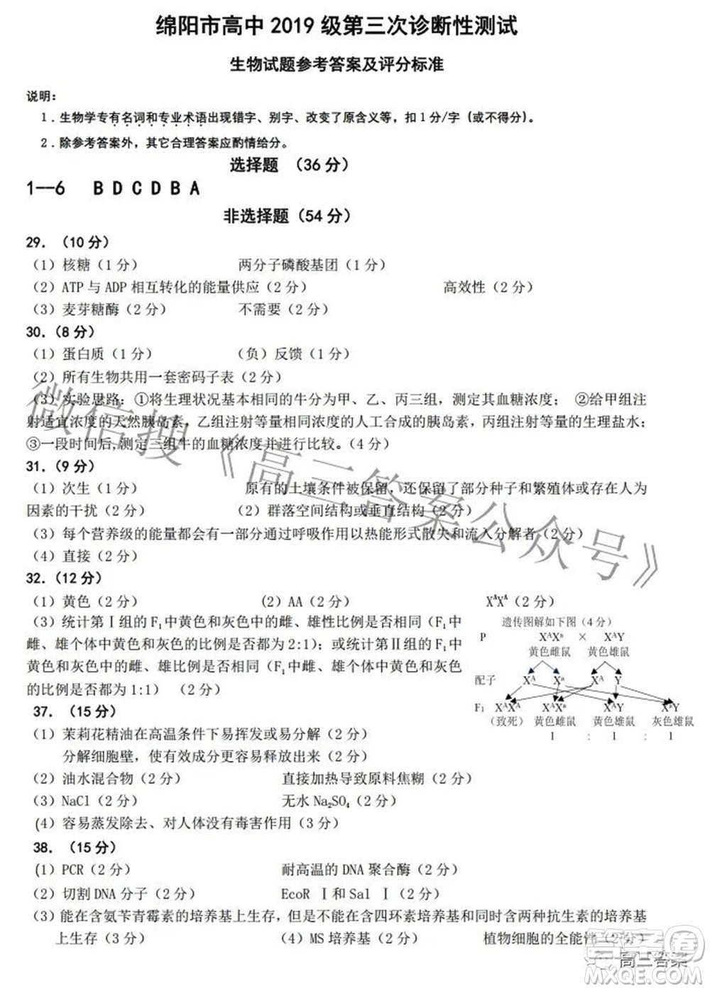 綿陽市高中2019級第三次診斷性考試理科綜合試題及答案