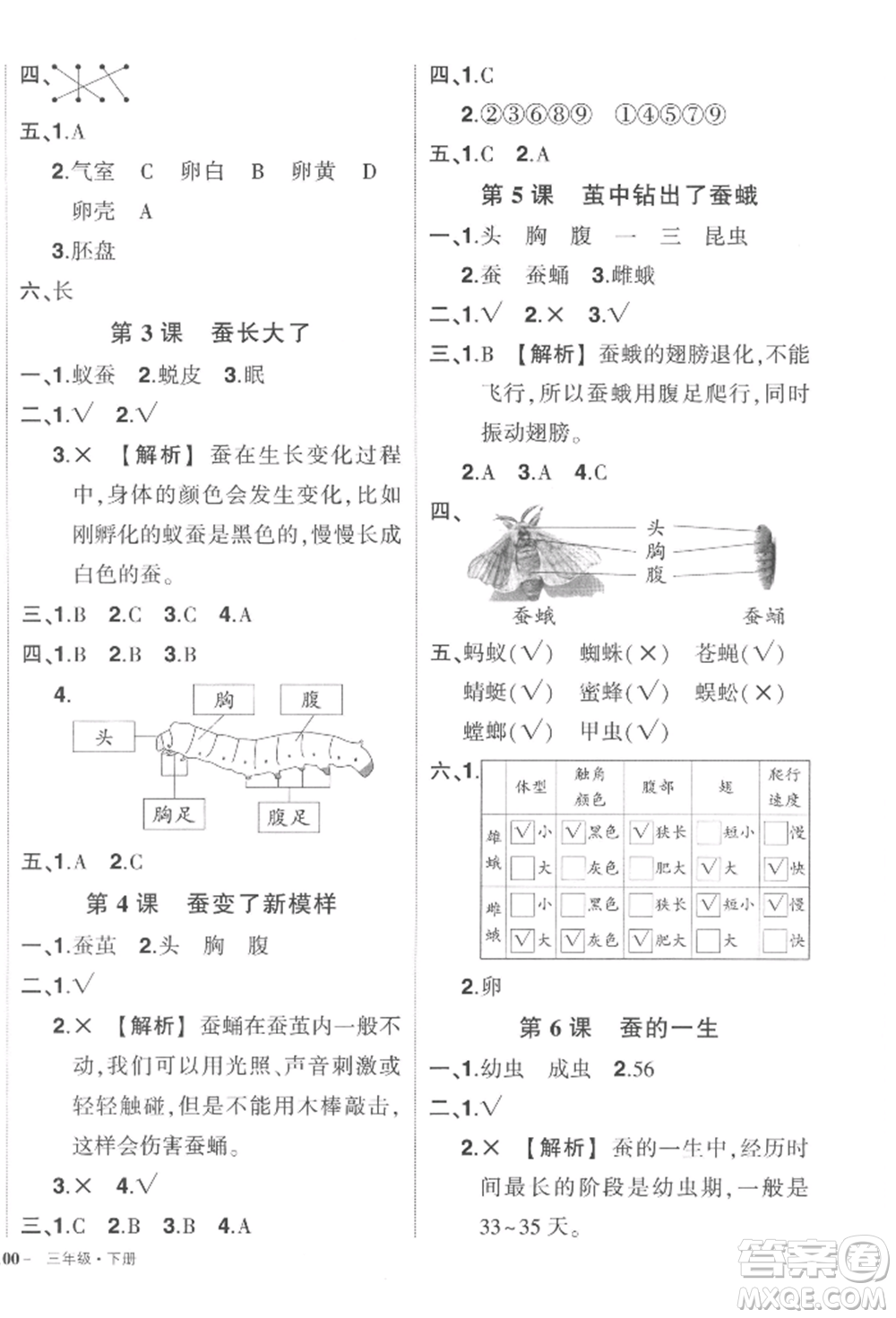 武漢出版社2022狀元成才路創(chuàng)優(yōu)作業(yè)100分三年級下冊科學教科版參考答案