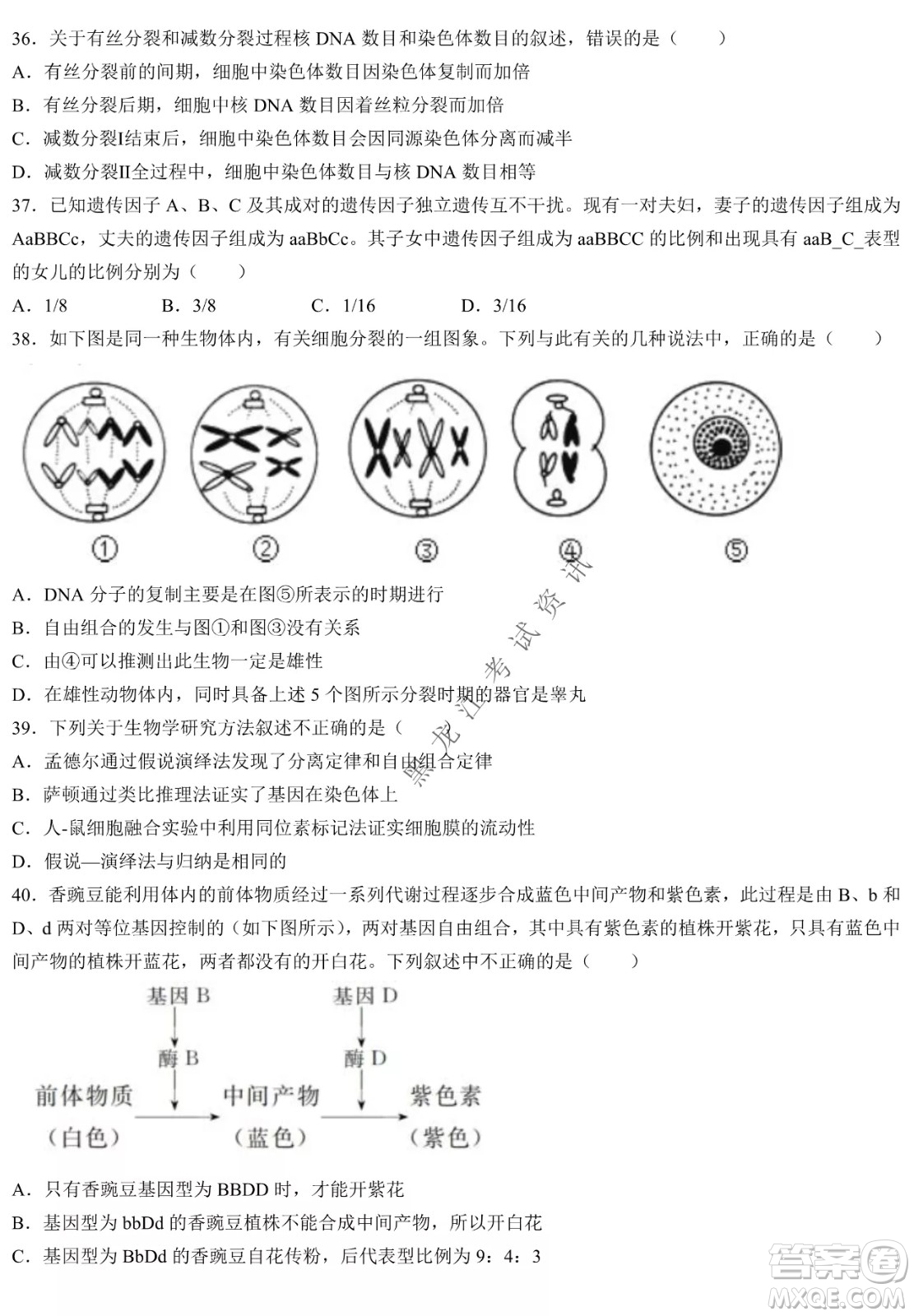 哈三中2021-2022學(xué)年度下學(xué)期高一學(xué)年第一次驗(yàn)收考試生物選考試卷及答案