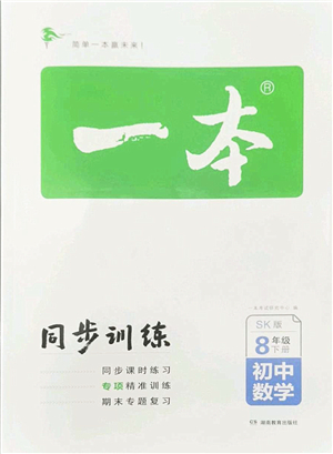 湖南教育出版社2022一本同步訓(xùn)練八年級數(shù)學(xué)下冊SK蘇科版答案