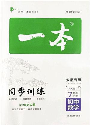 湖南教育出版社2022一本同步訓(xùn)練七年級(jí)數(shù)學(xué)下冊(cè)HK滬科版安徽專(zhuān)版答案