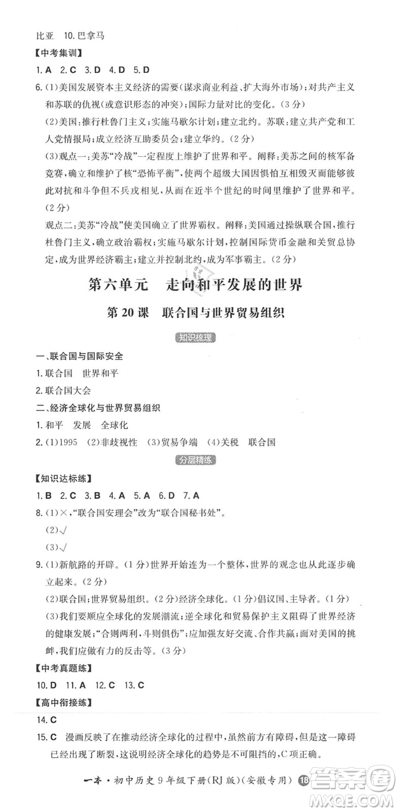 湖南教育出版社2022一本同步訓(xùn)練九年級(jí)歷史下冊(cè)RJ人教版安徽專(zhuān)版答案