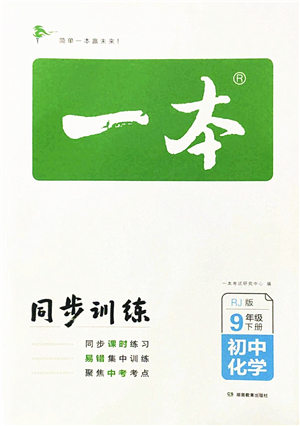 湖南教育出版社2022一本同步訓(xùn)練九年級化學(xué)下冊RJ人教版答案