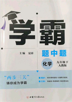 新疆少年兒童出版社2022學(xué)霸題中題九年級下冊化學(xué)人教版參考答案